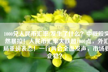 1000兑人民币汇率(发生了什么？中概股突然暴拉！人民币汇率大跌超1000点，外汇局重磅表态！一行两会全面发声，市场要企稳？)