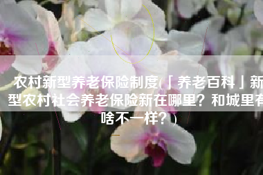 农村新型养老保险制度(「养老百科」新型农村社会养老保险新在哪里？和城里有啥不一样？)