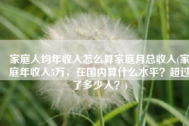 家庭人均年收入怎么算家庭月总收入(家庭年收入5万，在国内算什么水平？超过了多少人？)