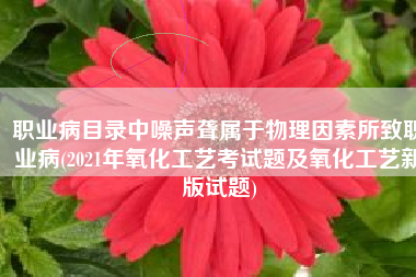 职业病目录中噪声聋属于物理因素所致职业病(2021年氧化工艺考试题及氧化工艺新版试题)