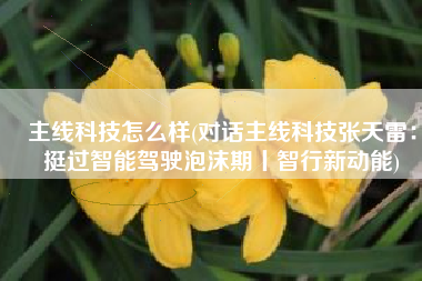 主线科技怎么样(对话主线科技张天雷：挺过智能驾驶泡沫期丨智行新动能)