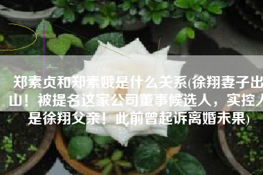 郑素贞和郑素娥是什么关系(徐翔妻子出山！被提名这家公司董事候选人，实控人是徐翔父亲！此前曾起诉离婚未果)