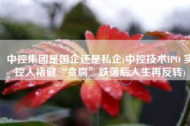 中控集团是国企还是私企(中控技术IPO 实控人褚健“贪腐”跌落后人生再反转)