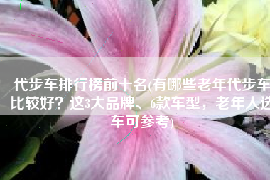 代步车排行榜前十名(有哪些老年代步车比较好？这3大品牌、6款车型，老年人选车可参考)
