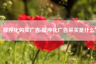 程序化购买广告(程序化广告采买是什么？)