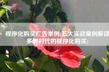 程序化购买广告举例(五大实战案例解读多屏时代的程序化购买)