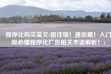 程序化购买英文(超详细！速收藏！入门级必懂程序化广告相关术语解析！)