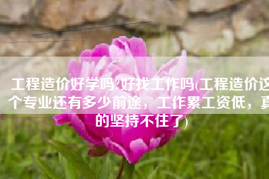 工程造价好学吗?好找工作吗(工程造价这个专业还有多少前途，工作累工资低，真的坚持不住了)