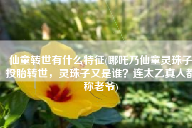仙童转世有什么特征(哪吒乃仙童灵珠子投胎转世，灵珠子又是谁？连太乙真人都称老爷)