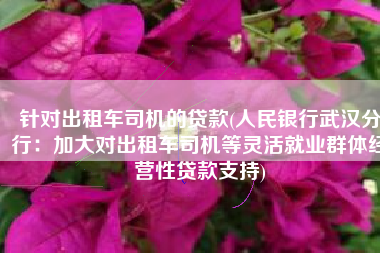 针对出租车司机的贷款(人民银行武汉分行：加大对出租车司机等灵活就业群体经营性贷款支持)