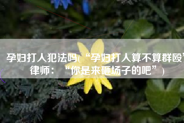 孕妇打人犯法吗(“孕妇打人算不算群殴”律师：“你是来砸场子的吧”)
