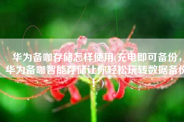 华为备咖存储怎样使用(充电即可备份，华为备咖智能存储让你轻松玩转数据备份！)