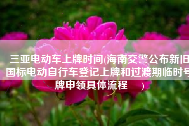 三亚电动车上牌时间(海南交警公布新旧国标电动自行车登记上牌和过渡期临时号牌申领具体流程 ​)