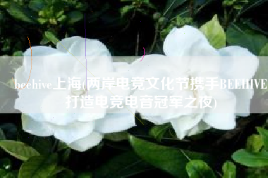 beehive上海(两岸电竞文化节携手BEEHIVE打造电竞电音冠军之夜)