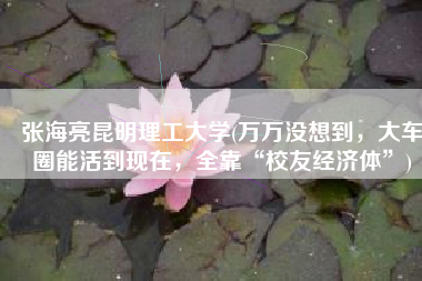 张海亮昆明理工大学(万万没想到，大车圈能活到现在，全靠“校友经济体”)