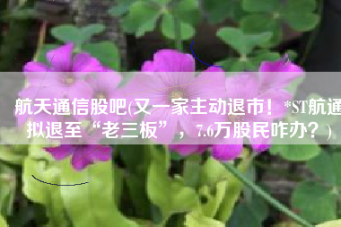 航天通信股吧(又一家主动退市！*ST航通拟退至“老三板”，7.6万股民咋办？)
