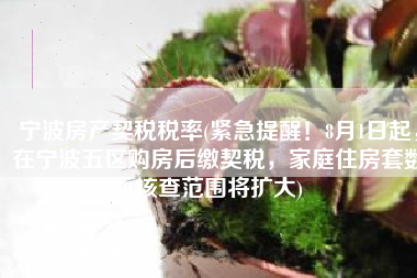 宁波房产契税税率(紧急提醒！8月1日起，在宁波五区购房后缴契税，家庭住房套数核查范围将扩大)