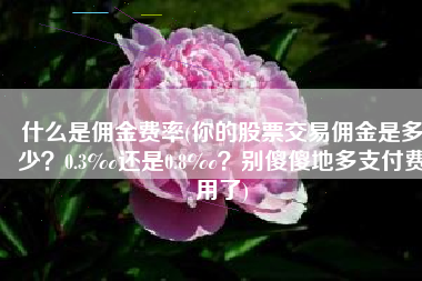 什么是佣金费率(你的股票交易佣金是多少？0.3‰还是0.8‰？别傻傻地多支付费用了)