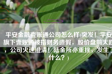 平安金融壹账通公司怎么样(突发！平安旗下壹账通被指财务造假，股价盘前大跌，公司火速澄清！陆金所亦重挫，发生了什么？)