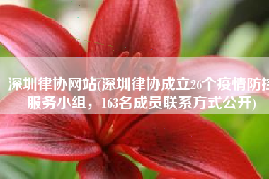 深圳律协网站(深圳律协成立26个疫情防控服务小组，163名成员联系方式公开)
