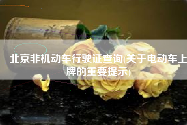 北京非机动车行驶证查询(关于电动车上牌的重要提示)