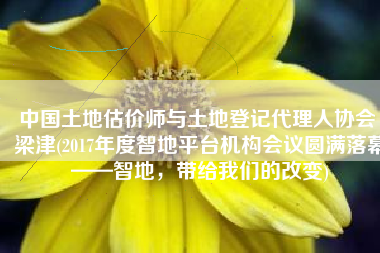 中国土地估价师与土地登记代理人协会 梁津(2017年度智地平台机构会议圆满落幕——智地，带给我们的改变)