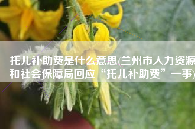 托儿补助费是什么意思(兰州市人力资源和社会保障局回应“托儿补助费”一事)