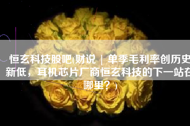 恒玄科技股吧(财说 | 单季毛利率创历史新低，耳机芯片厂商恒玄科技的下一站在哪里？)