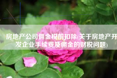 房地产公司佣金税前扣除(关于房地产开发企业手续费及佣金的财税问题)