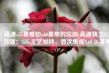 高通x55基带和x60基带的区别(高通骁龙875首曝：5nm工艺加持，首次集成X60 5G基带)