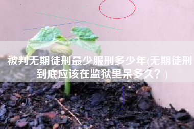 被判无期徒刑最少服刑多少年(无期徒刑，到底应该在监狱里呆多久？)