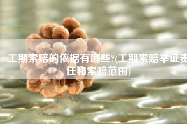 工期索赔的依据有哪些?(工期索赔举证责任和索赔范围)