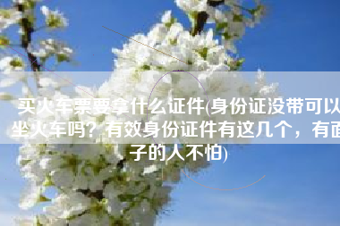 买火车票要拿什么证件(身份证没带可以坐火车吗？有效身份证件有这几个，有面子的人不怕)