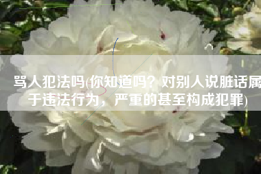 骂人犯法吗(你知道吗？对别人说脏话属于违法行为，严重的甚至构成犯罪)