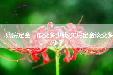 购房定金一般交多少钱(买房定金该交多少？)