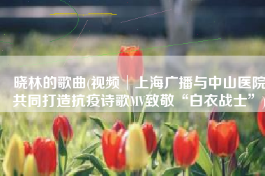晓林的歌曲(视频│上海广播与中山医院共同打造抗疫诗歌MV致敬“白衣战士”)