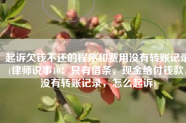 起诉欠钱不还的程序和费用没有转账记录(律师说事10：只有借条，现金给付钱款，没有转账记录，怎么起诉)