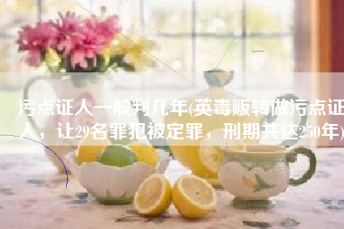 污点证人一般判几年(英毒贩转做污点证人，让29名罪犯被定罪，刑期共达250年)