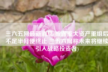 三六五网最新消息(披露重大资产重组后不足半月便终止 三五六网称未来将继续引入战略投资者)