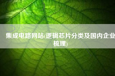 集成电路网站(逻辑芯片分类及国内企业梳理)