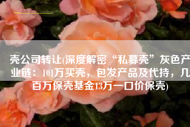 壳公司转让(深度解密“私募壳”灰色产业链：101万买壳，包发产品及代持，几百万保壳基金13万一口价保壳)