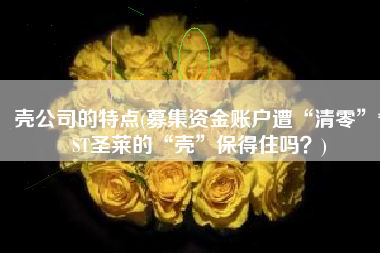 壳公司的特点(募集资金账户遭“清零”*ST圣莱的“壳”保得住吗？)