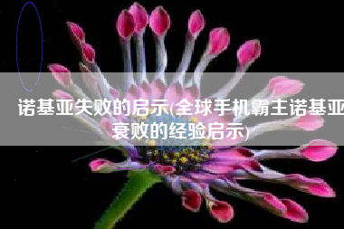 诺基亚失败的启示(全球手机霸主诺基亚衰败的经验启示)