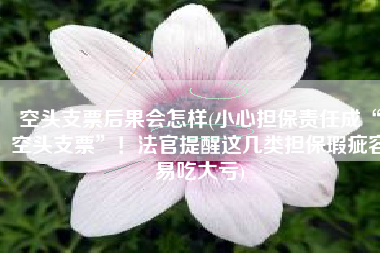 空头支票后果会怎样(小心担保责任成“空头支票”！法官提醒这几类担保瑕疵容易吃大亏)