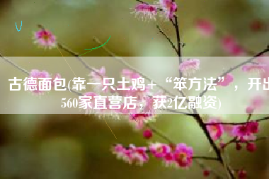 古德面包(靠一只土鸡+“笨方法”，开出560家直营店，获2亿融资)
