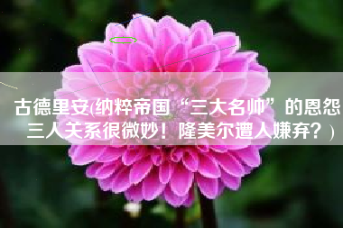 古德里安(纳粹帝国“三大名帅”的恩怨，三人关系很微妙！隆美尔遭人嫌弃？)