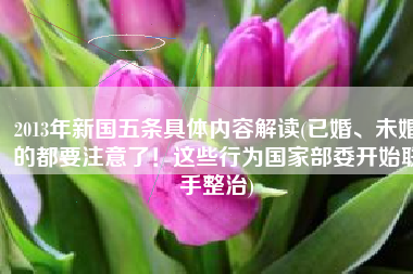 2013年新国五条具体内容解读(已婚、未婚的都要注意了！这些行为国家部委开始联手整治)