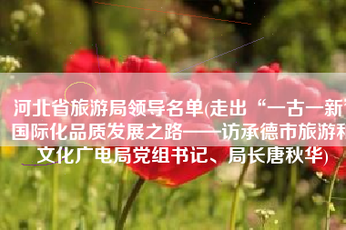 河北省旅游局领导名单(走出“一古一新”国际化品质发展之路——访承德市旅游和文化广电局党组书记、局长唐秋华)