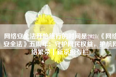 网络安全法开始施行的时间是2021(《网络安全法》五周年：守护网民权益，护航网络繁荣｜新京报专栏)