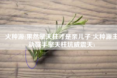 火种源(果然擎天柱才是亲儿子 火种源主动联手擎天柱坑威震天)